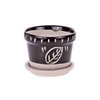 Petite coupelle de plantation